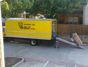 Wlidcat_Movers_Apartment_Moving_Company